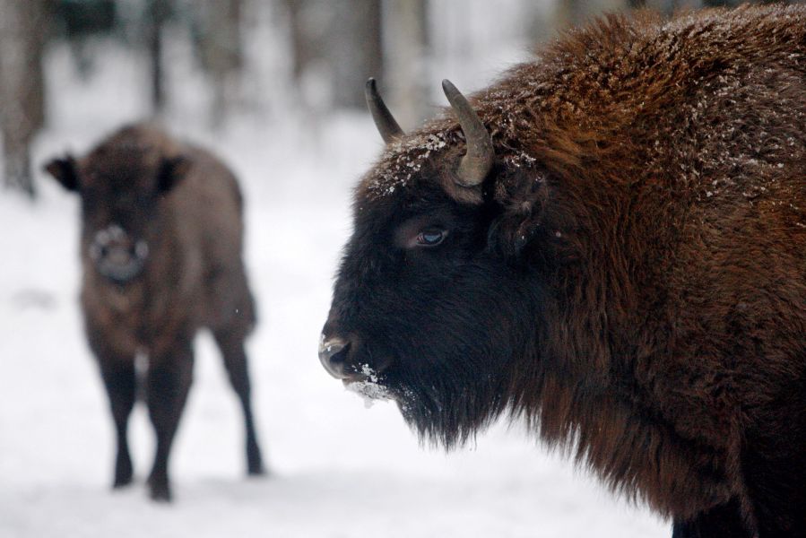 Устье – берег Русской старины
